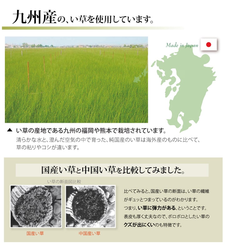 い草ラグ 湯沢 三六6畳 273X364 273×364cm ラグマット カーペット ラグ 絨毯