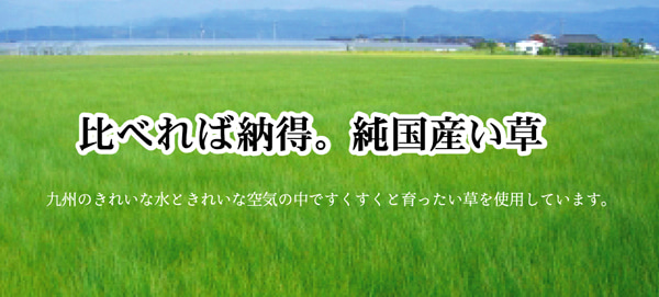 ラグ 華紋草 パーソナルマット 88X150 88×150cm ラグマット カーペット 絨毯