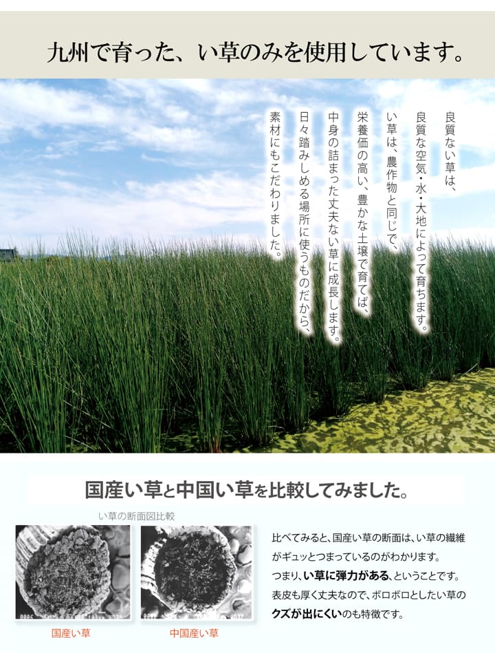 玄関マット Fなでしこ BK 70X120 70×120cm ラグマット カーペット ラグ 絨毯