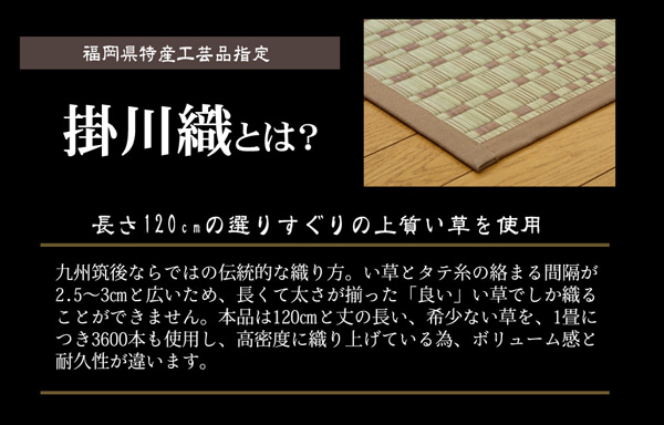 花ござ 奥丹後 本間6畳 BE 286.5X382 286.5×382cm ラグマット カーペット