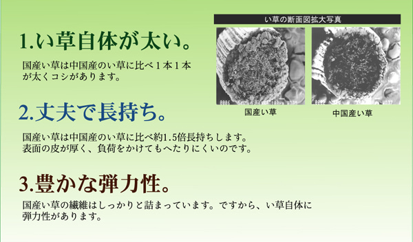 花ござ 奥丹後 本間6畳 BE 286.5X382 286.5×382cm ラグマット カーペット