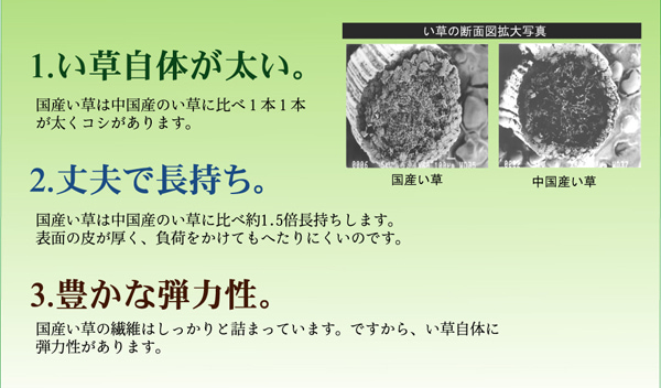 置き畳 プラード 半畳 CGY 70X70 70×70×1.7cm ラグマット カーペット ラグ