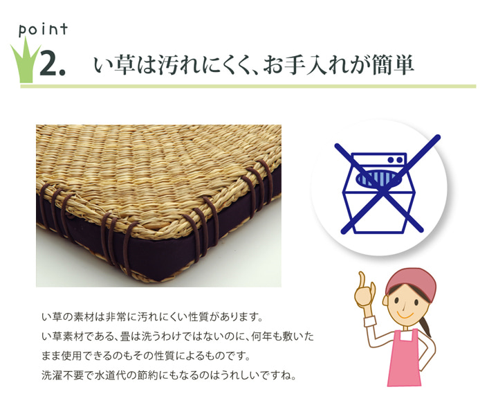 コート クッション 円座 丸型 2枚組 七島 七島藺草 円座 2枚組