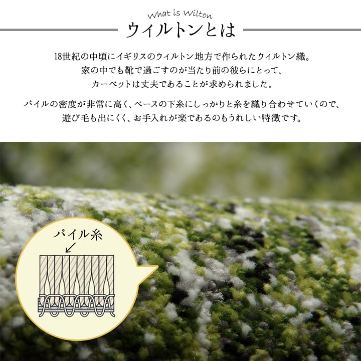 ガイア 玄関マット マット ウィルトン ウィルトン織 抗菌防臭 消臭 へ